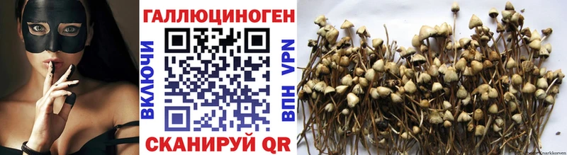 кракен вход  Отрадный  Галлюциногенные грибы мухоморы 